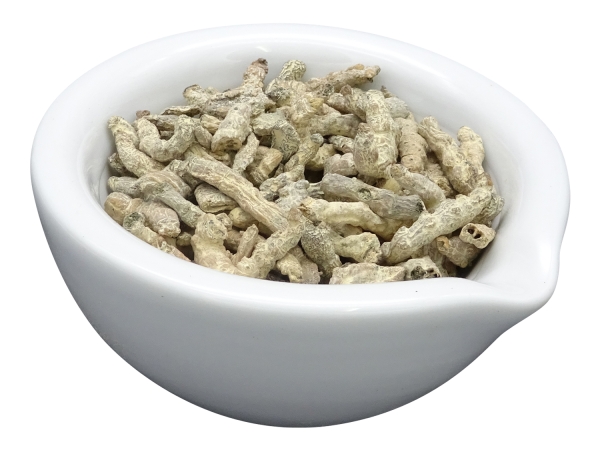 Bombyx Batryticatus / JIANG CAN Infos & TCMVersand Startpunkt